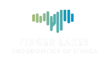 Link to Finger Lakes Endodontics of Ithaca home page